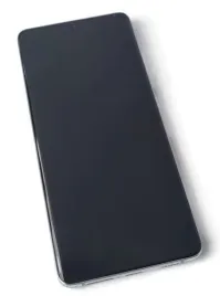 org-wyswietlacz-lcd-oryginalny-ramka-samsung-galaxy-s21-ultra-g998-srebrny