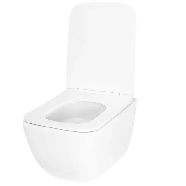 wc-dexter-tornado-rodzaj-podwieszana