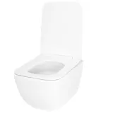 wc-dexter-tornado-rodzaj-podwieszana