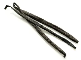 pi-nuts-laska-wanilii-madagaskar-16-18-cm-1-szt