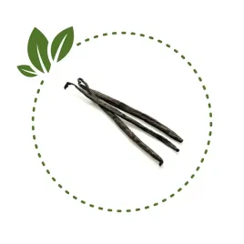 wanilia-laska-bourbon-madagaskar-16-18-cm-5-szt-pi-nuts