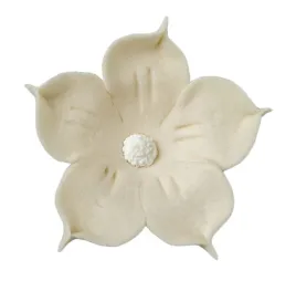 kwiaty-cukrowe-jasmin-ecru-dekor-pol-5-szt