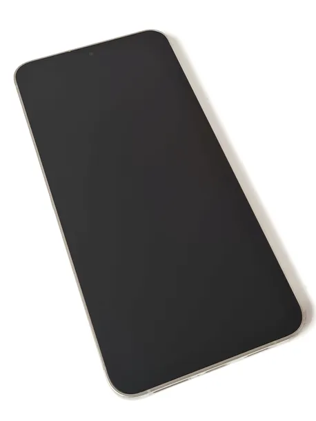 ORG Wyświetlacz LCD oryginalny z ramką Samsung Galaxy S24+ S24 Plus, szary