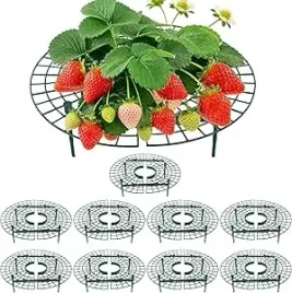 podporki-do-roslin-okragle-na-truskawki-wielorazowe-zestaw-10-szt-zielony