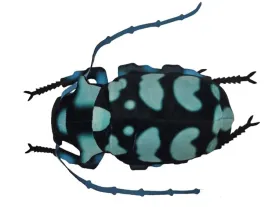 pluszowa-zabawka-dla-dzieci-miekka-pluszak-25-cm-owad-niebiesko-czarny