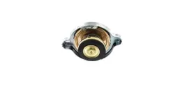 mahle-crb-14-000p-korek-chlodnica