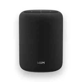wiim-glosnik-smart-hi-res-24-bit-100w-wi-fi-6e