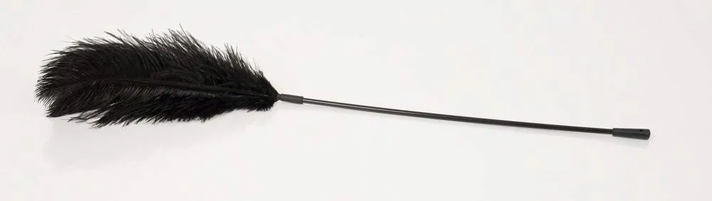 black-feather-bad-kitty