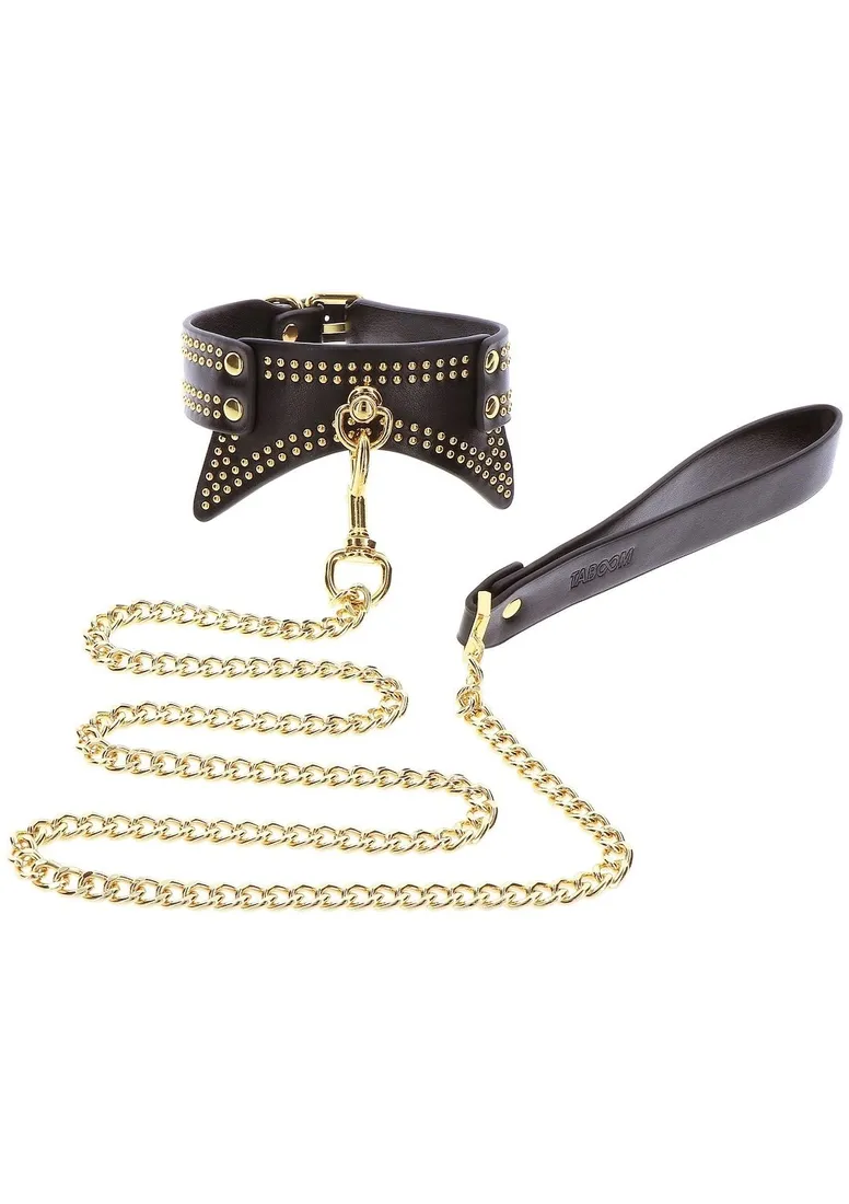 studded-collar-and-leash