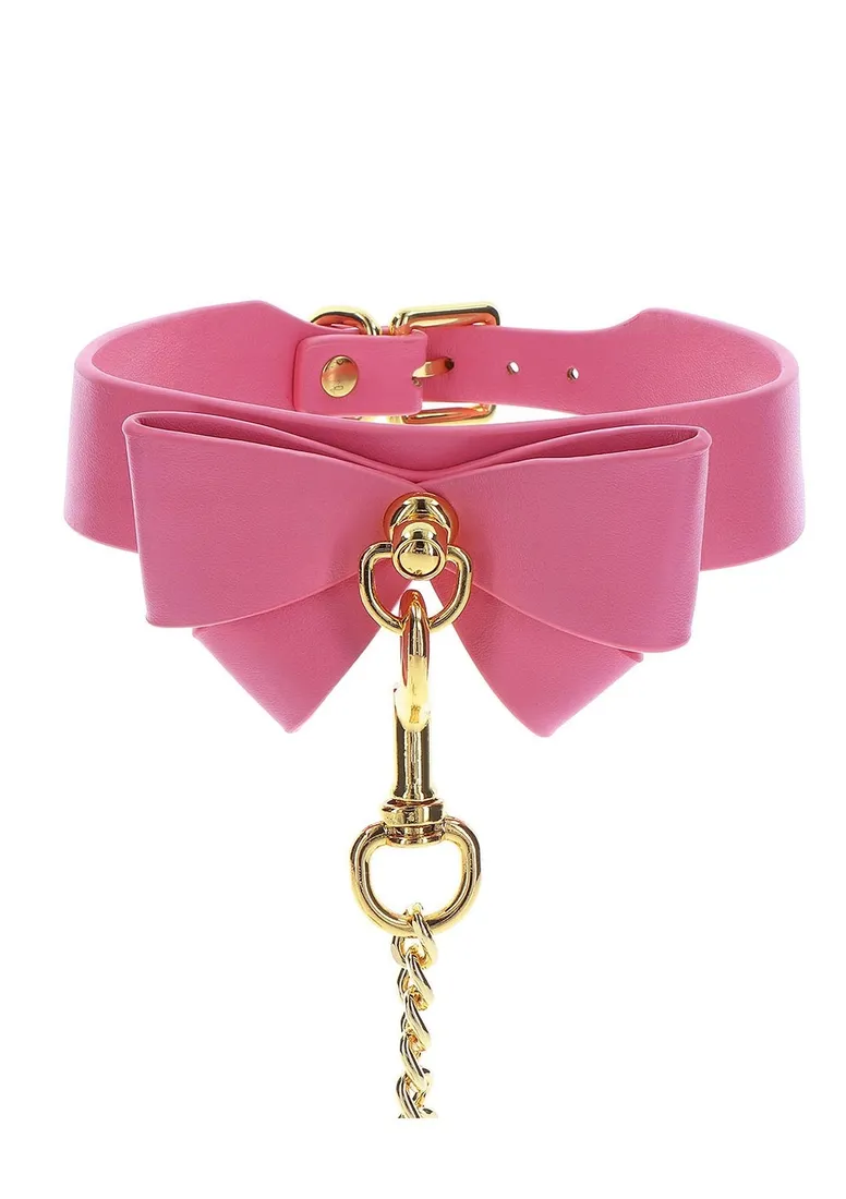 collar-and-leash