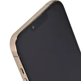 apple-iphone-13-pro-max-256gb-gold-remade-2y