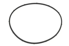 pierscien-bosch-1-460-206-303