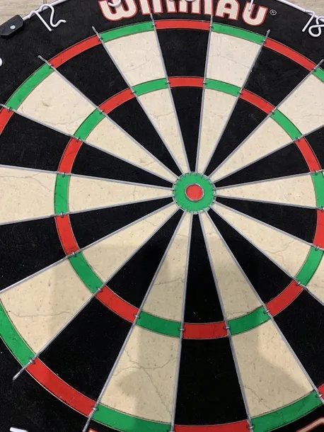 tarcza-do-darta-winmau-diamond-plus-pdc