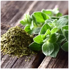 oregano-eteryczne-ziolo-ogrodowe-wydajne-plony-nasiona-05-g