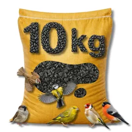 slonecznik-czarny-karma-ziarno-dla-ptakow-10kg