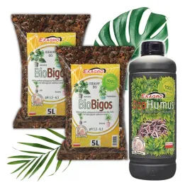 bigos-lekkie-podloze-ziemia-do-kwiatow-monstera-juka-zestaw-10l-dzohumus-1l