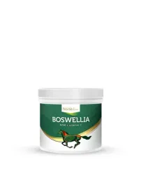 horseline-profilaktyka-aparatu-ruchu-boswellia-serrata-500-g