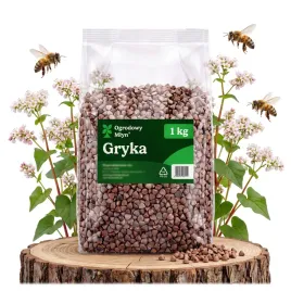 poplon-gryka-roslina-miododajna-nasiona-gryki-poprawa-gleby-na-chwasty1-kg