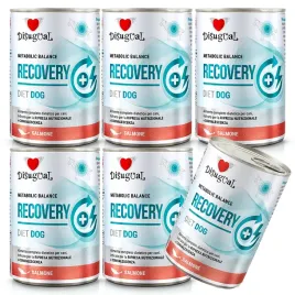 disugual-pies-recovery-losos-6x400g