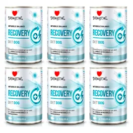 disugual-pies-recovery-sola-400g-zestaw-6-szt