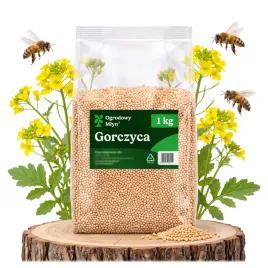poplon-gorczyca-biala-miododajna-paszowa-nawoz-zielony-nasiona-ziarno-1-kg