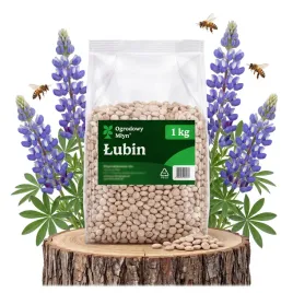 lubin-na-poplon-nasiona-1kg-waskolistny-slodki-miododajny-zielony-nawoz-c-1