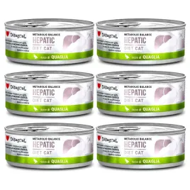 disugual-kot-hepatic-przepiorka-85g-zestaw-6-szt