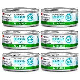 disugual-kot-recovery-krolik-85g-zestaw-6-szt