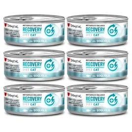 disugual-kot-recovery-sola-85g-zestaw-6-szt