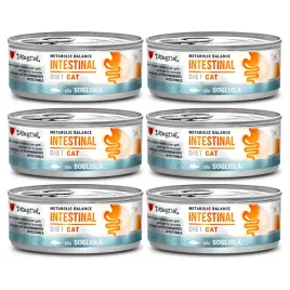 disugual-kot-intestinal-sola-85g-zestaw-6-szt