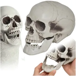 sztuczna-czaszka-szara-cieniowana-czacha-halloween-na-dekoracja-ozdoba-20cm