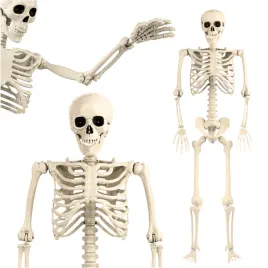 szkielet-czlowieka-szkieletor-kosciotrup-czaszka-dekoracja-halloween-93cm
