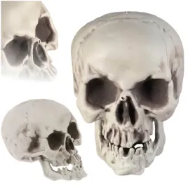 duza-sztuczna-czaszka-czacha-szara-cieniowana-na-halloween-dekoracja-21cm