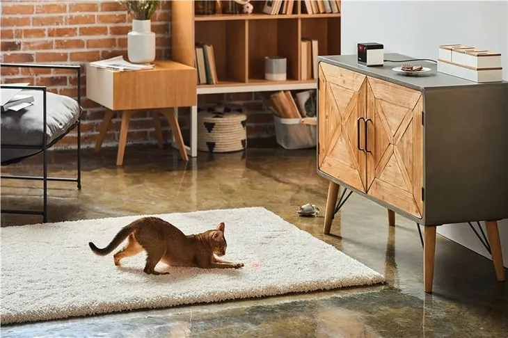 petcube-play-2-wysokosc-produktu-11-cm