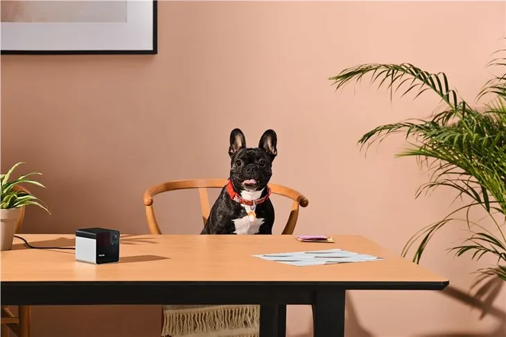petcube-play-2-produkt-wprowadzony-do-obrotu-na-terenie-ue-przed-13-12-2024-tak