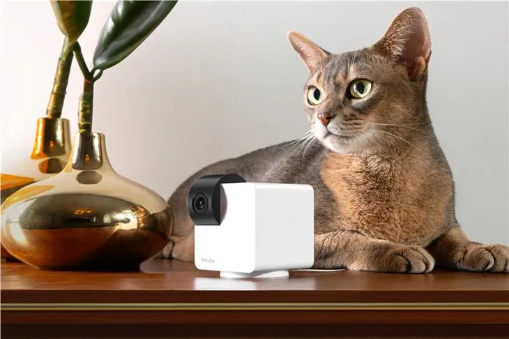 petcube-cam-360-glebokosc-9-cm