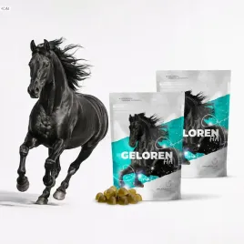 kolagen-dla-koni-zelki-jablkowe-geloren-horse-ha-2-x-60szt-900g-na-stawy