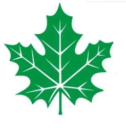 naklejka-avisa-zielony-listek