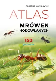 atlas-mrowek-hodowlanych-angelika-dawidowicz