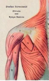 struna-wyspa-nazino