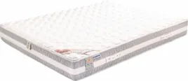 mollyflex-argento-therapy-90-x-200