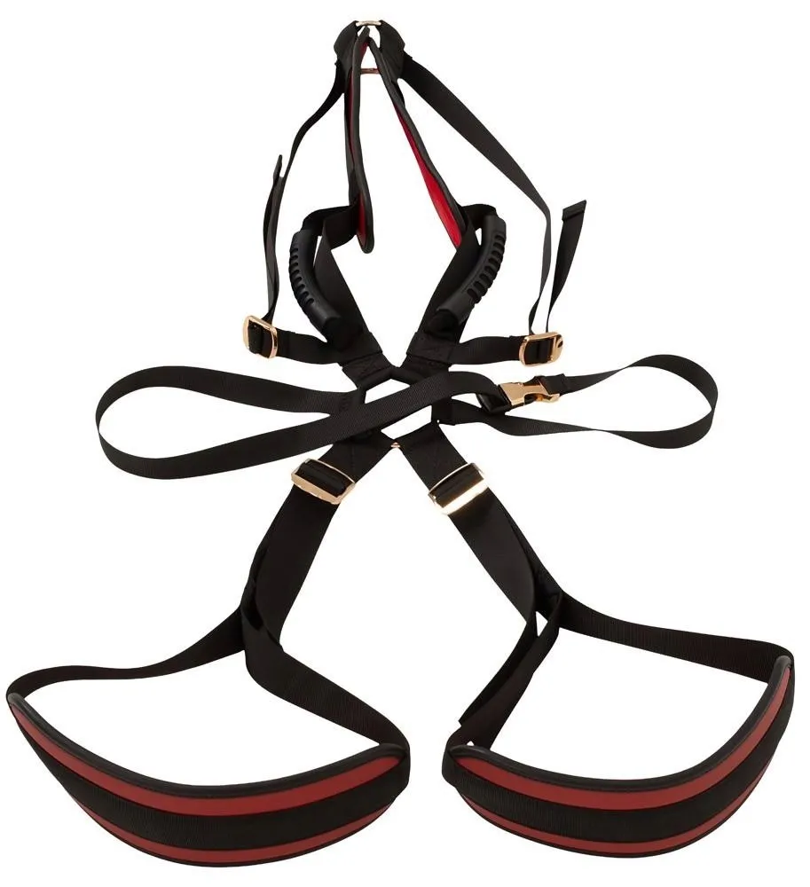bad-kitty-body-swing