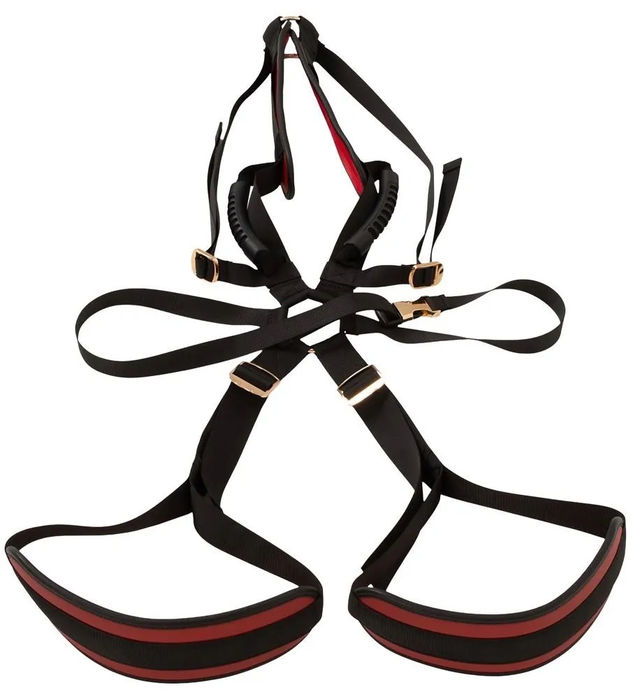 bad-kitty-body-swing