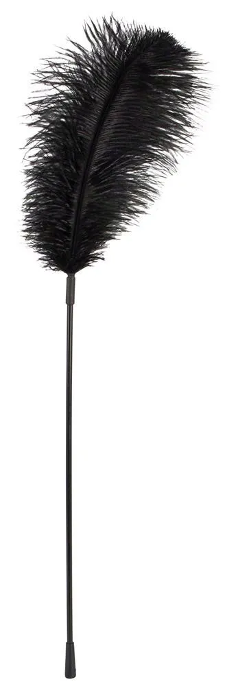 black-feather-bad-kitty