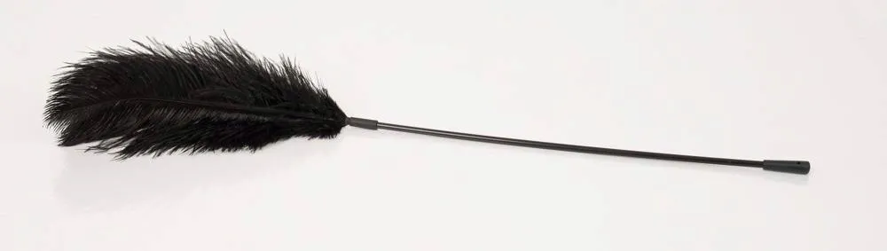 black-feather-bad-kitty