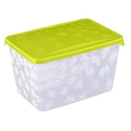 branq-pojemnik-prostokatny-z-kolorowa-pokrywka-rukkola-2-5l