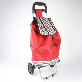 wozek-zakupowy-torba-transportowa-materialowa-na-kolkach
