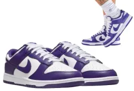 nike-dunk-low-retro