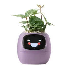 inteligentna-doniczka-interaktywna-10cm-fioletowa-na-sukulenty-ouseitech