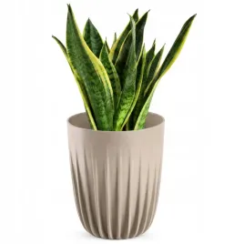 doniczka-donica-na-kwiaty-z-wkladem-30x36cm-oslonka-wklad-okragla-plastik